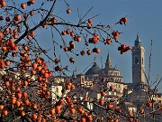 02 Da via Sudorno cupole e campanili di Citta Alta...tra rossi cachi